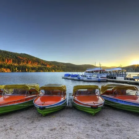 Sieben Tannen + Hochschwarzwald Card 아파트 *