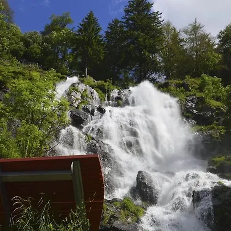 Sieben Tannen + Hochschwarzwald Card 아파트 *