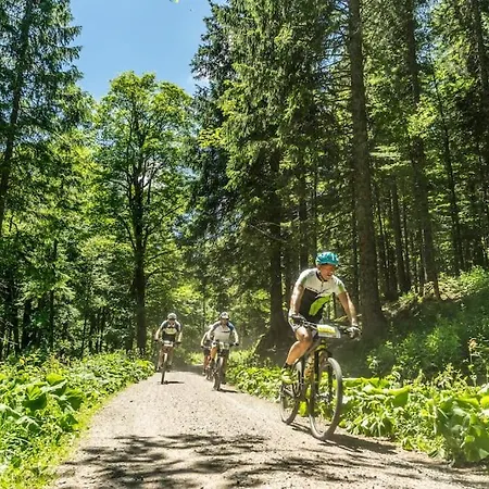 아파트 Sieben Tannen + Hochschwarzwald Card 티티제-노이슈타트