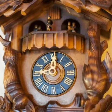 Sieben Tannen + Hochschwarzwald Card * 티티제-노이슈타트