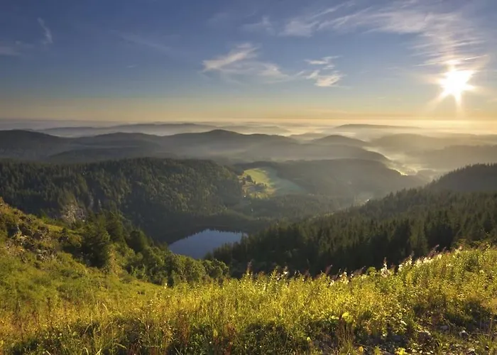 Sieben Tannen + Hochschwarzwald Card Appartamento *